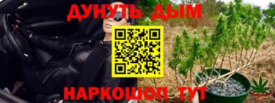 прущая мука Дубна