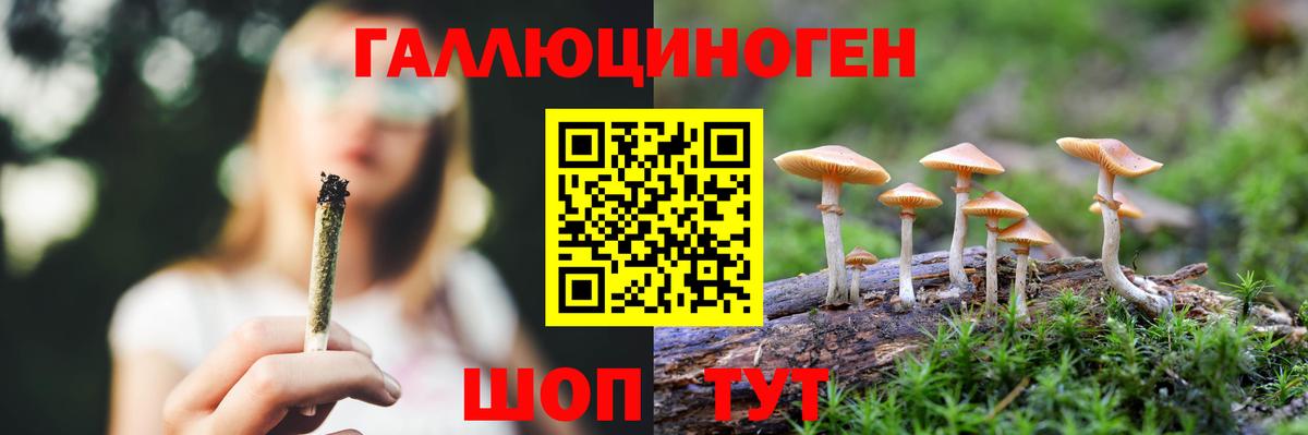 Мценск  как найти закладки  Вход с VPN  Галлюциногенные грибы Psilocybe 